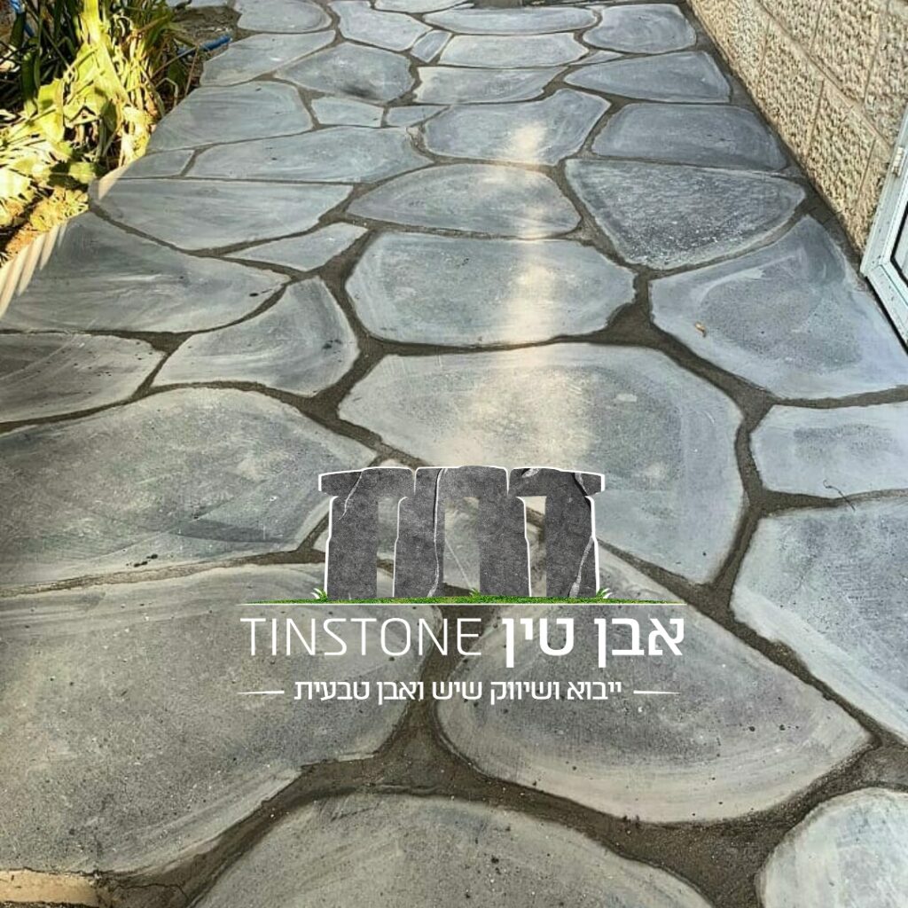 אבן לקט פראית – אבן טין